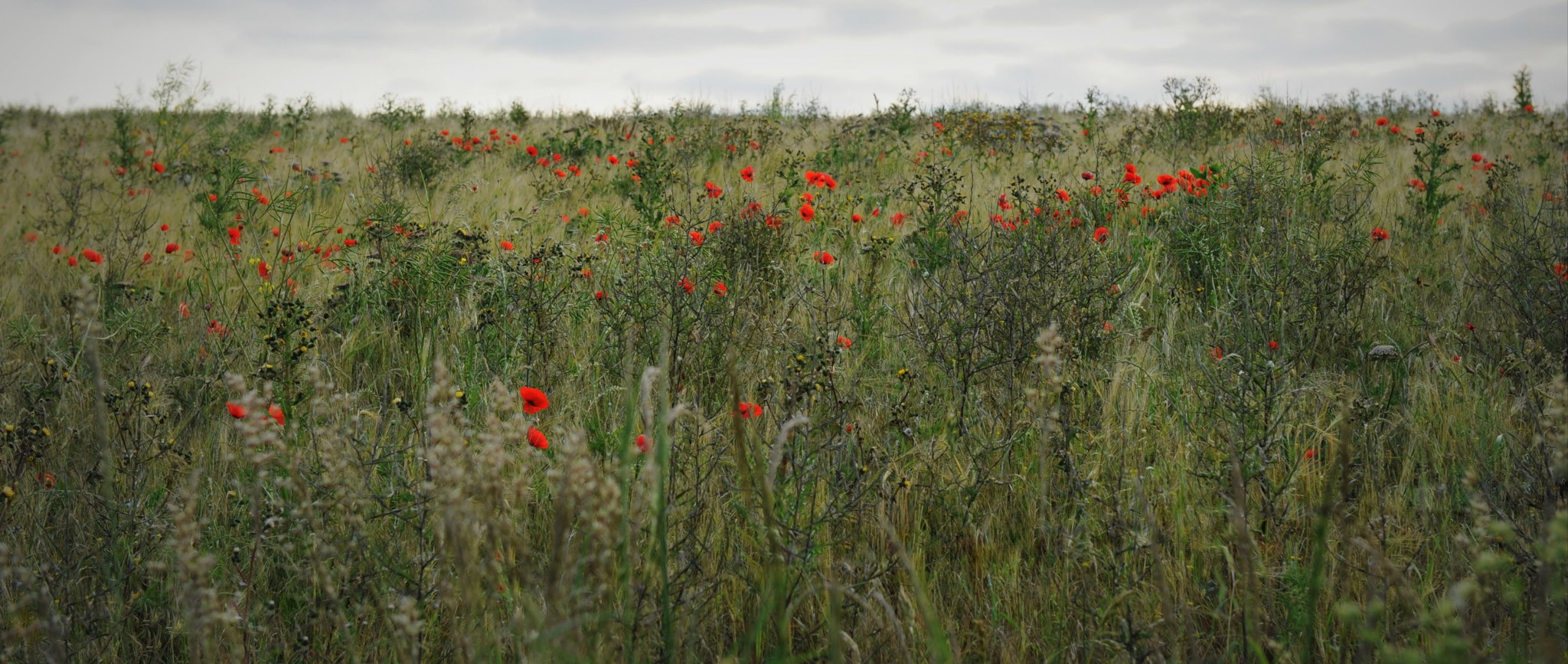 Dover, south England