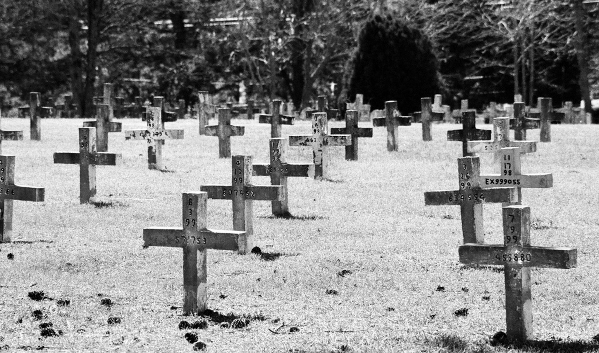 Cemetery for inmates without any next of kin available or willing to care for their remains in Huntsville Prison, Texas/US