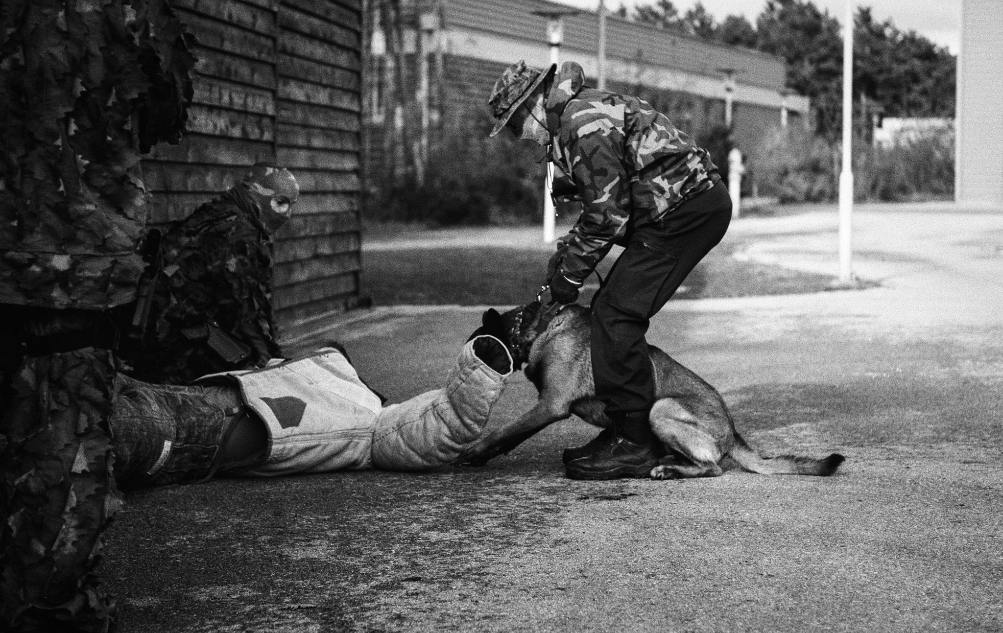 Exercise K9 Unit, COBRA Special Ops, Austria