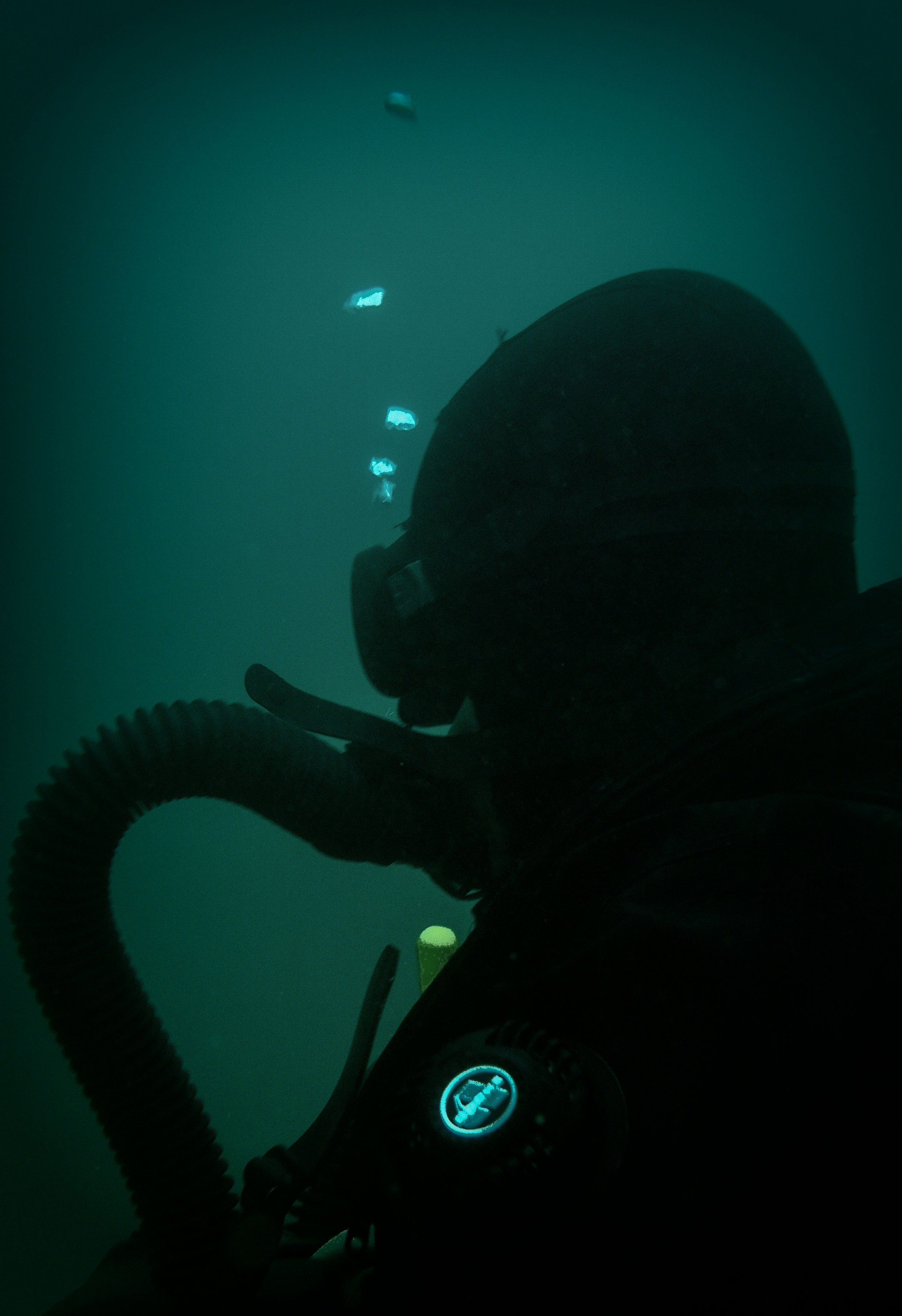 Dive Unit, COBRA Special Ops, Austria