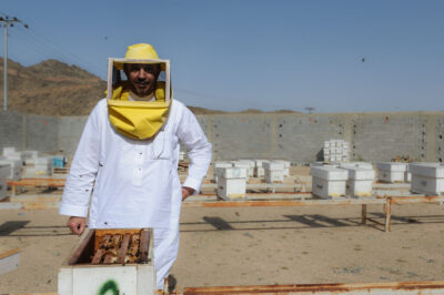 Maqbool - Beekeeper